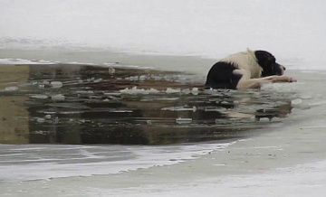 На пруду в Щербинке тонули женщина с собакой