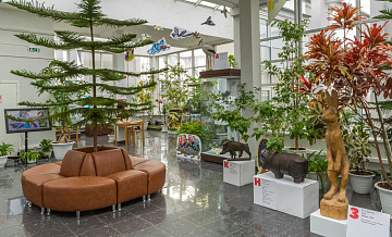 Акцию по обмену растениями проведут в Дарвиновском музее 3 июня